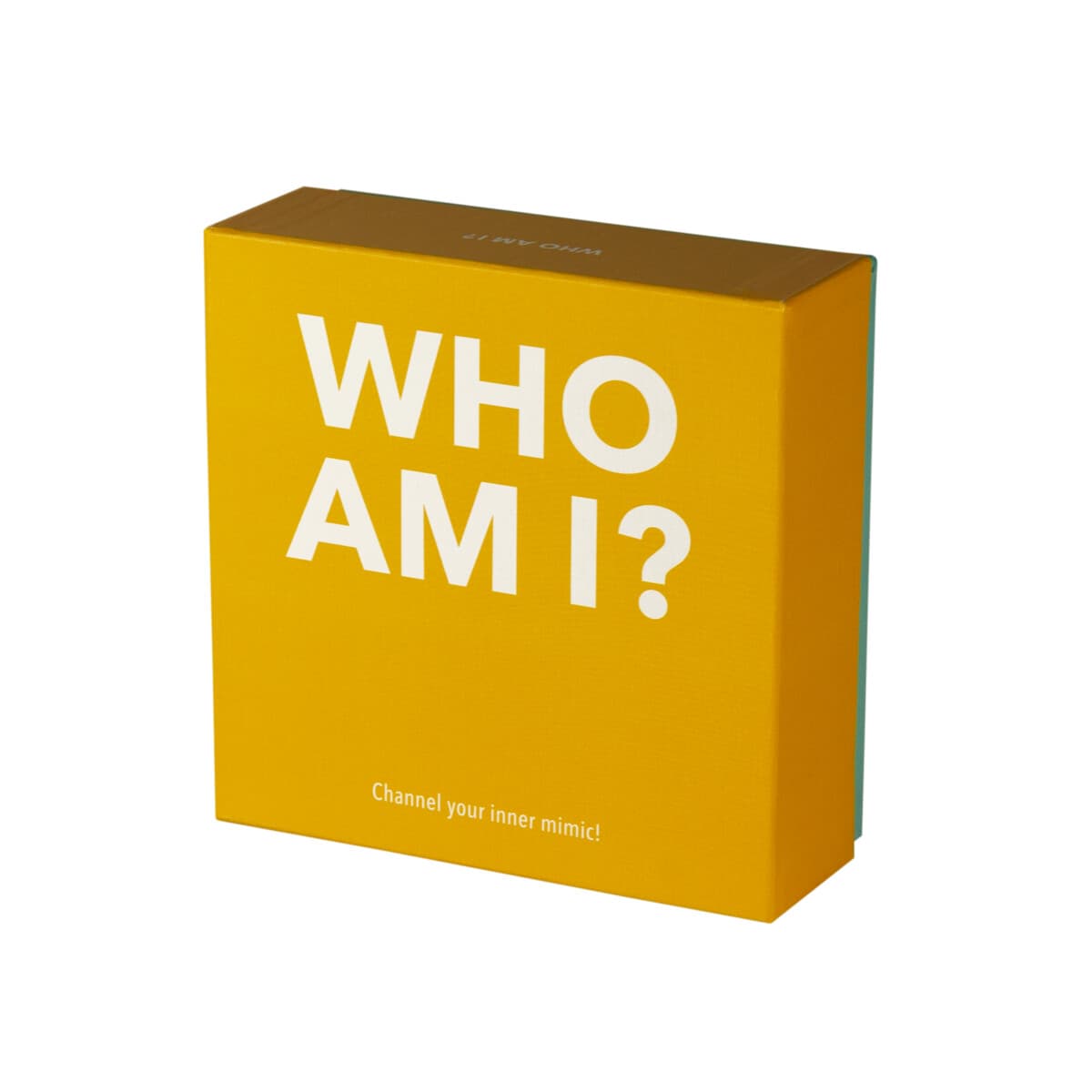 Gamestorm Gift Game Who Am I ? Board Game box view